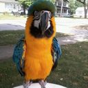 Christopher Stephens - @Chris_7988 - Twitter