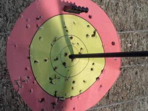 HugoBrauneissen's profile picture. 🟥 會所實體店營業執照齊全 🟨✈️  電報：https://t.co/Ga8w2eAKbX 搜索推🍛特大号 @mbb668 或者直接点蓝🐡色字体查🍭看详细幸福资料 🟩 不滿意不消費可掉頭就走 🟦，㊙️ 保護個人隱私安全私密圈服務 ㊙️，💯 所有消費都可開發票 🉑 靠 ‼️🈺 獨家特色 💢 技師全程聽你安排不反抗