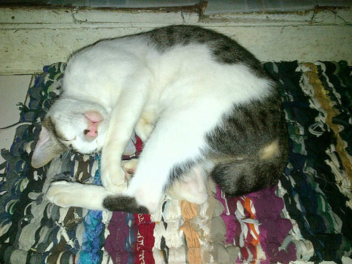 JokoSuryo15's profile picture. always alone., keep black in my heart.,