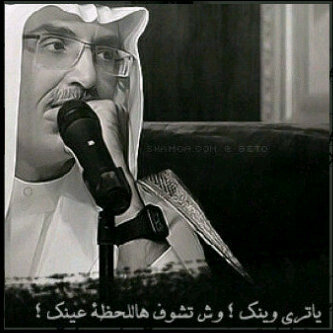 nalhashel1's profile picture. صمووووود لو ويش