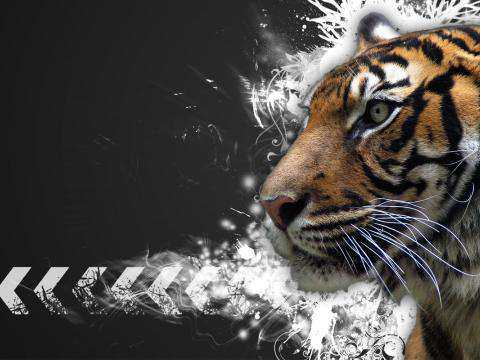 franna73's profile picture. 