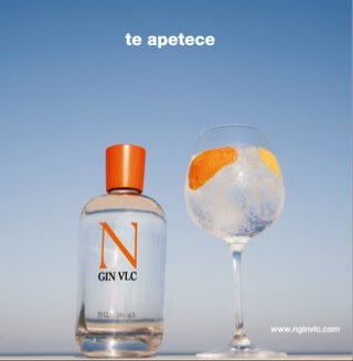 N gin vlc N gin vlc