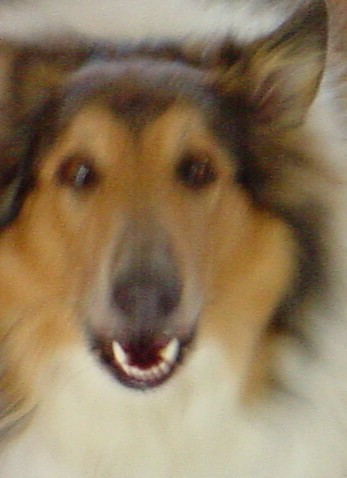 YoungBrews's profile picture. Brewery and Engineering