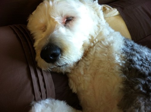 traceycompson's profile picture. aging disgracefully, living life to the full. love working for SCWCSU and supporting the NHS. 38 years working for NHS and still as passionate about it today.