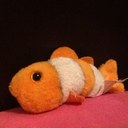 Anna Brewer - @babbacombeMIX - Twitter