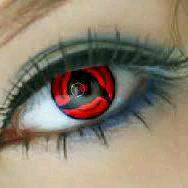No body's perfect in the word