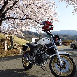 たかちゃん Ninjaとcbrとvtrの個人的な比較 扱いやすさは Vtr Ninja Cbr出足から中低速までの元気の良さ Cbr Ninja Vtr燃費はcbr Vtr Ninja ツーリング度vtr Ninja 高速使うならトップ Cbr 目立ち度ninja Cbr Vtr 一長一短