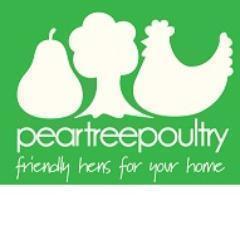 Catch up with what's going on at the poultry farm plus general chicken chat and advice - tweets by Pear Tree Poultry Team