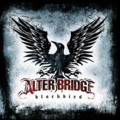 All about Alter Bridge and the side projects of their members!