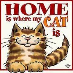 gaston510's profile picture. Im a huge animal lover and campaigning to 'Ban all cruelty/torture and killing of animal photograhs on Facebook' please sign the petition