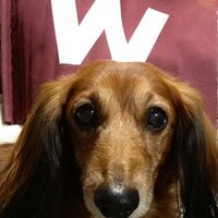 ゆりきち (@yurikiti777) 's Twitter Profile Photo