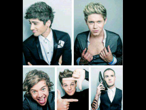 Directioner, Belieber, Lovatics, TheWantedFan. ♥ Thanku Followers xx
