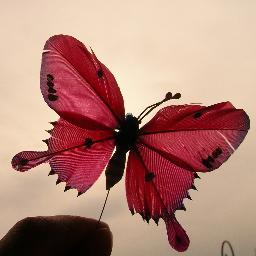 Samar_3ly's profile picture. كاتبة ، خريجة إعلام القاهرة ، باحثة بالماجستير فى مجال الإعلام