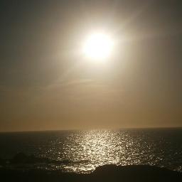 Diferal1's profile picture. 