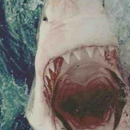 GayevArtem's profile picture. Я увлекаюсь музыкой, спортом и т.д.