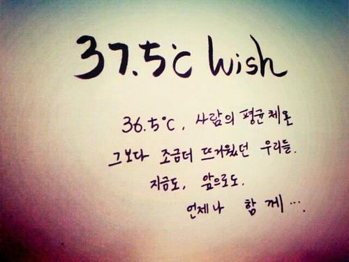 [w.Yozoh]37.5'C Wish 공동 유저계/싱크따위