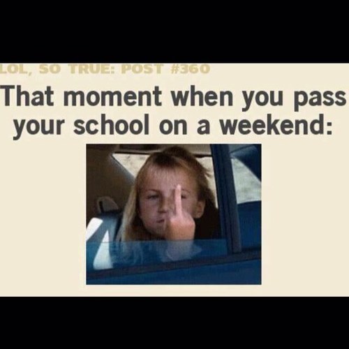 JgtsJoao's profile picture. 