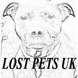 Found a lost pet in the UK? Msg us and will RT. Help us spread the info for a happy reunion
Your pet got lost? Follow us, someone might have found them already!