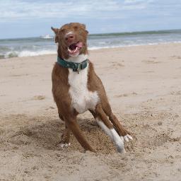 ballester84's profile picture. 