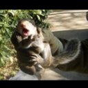 John Ladd - @deltahealer - Twitter