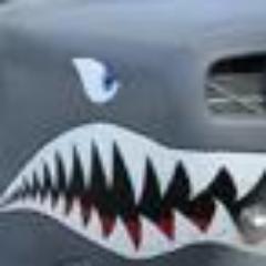 skydivekansas's profile picture. Throwing people out of perfectly good airplanes since 1995 - HOME OF THE SHARK - USPA Group Member - 785.840.JUMP (5867) - jump@skydivekansas.com