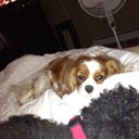 Barb Allen - @BarbAllen1 - Twitter