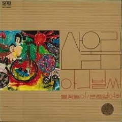 산울림 / 김창완밴드