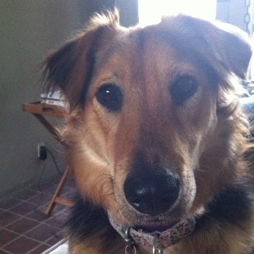 draperjfk's profile picture. 