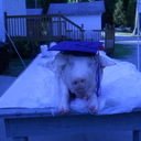 Connie Perry - @ConniePerry15 - Twitter