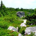 Donna Thorne - @dkthorne - Twitter