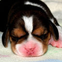 Leanne Hinton - @KTMae8 - Twitter