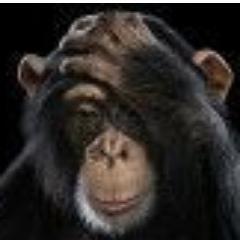 joliesky06's profile picture. NO ME LLAMES INTRUSO;SIN ANTES DARME UNA LLAVE PARA ABRIR TUS CANDADOS.