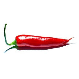 The hottest jobs around!