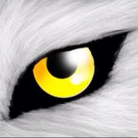 محمد المانع (@mohammad_almana) Twitter profile photo