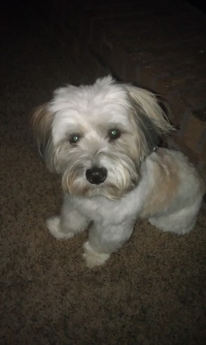 ustech81's profile picture. 