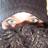 veleknezka's profile image