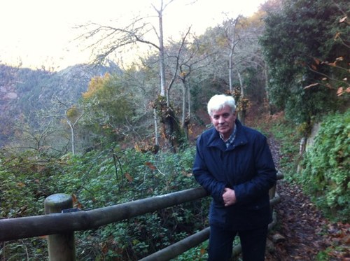 conciliador_es's profile picture. 