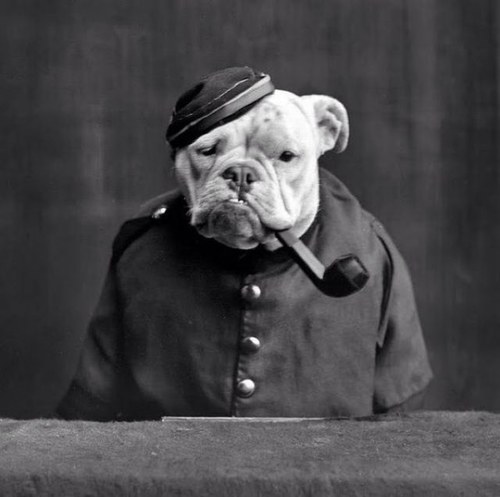 JagTheLad's profile picture. Manager of IT, Player of Hockey, Lover of Music