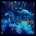 Barbara Light - @light_barbara - Twitter