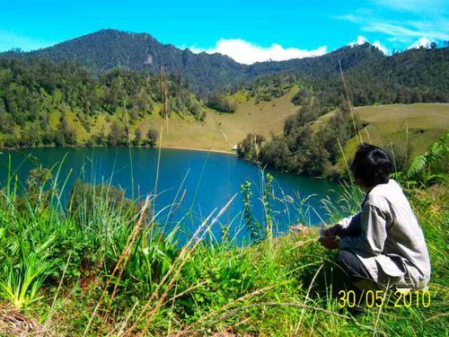 isisrar's profile picture. 