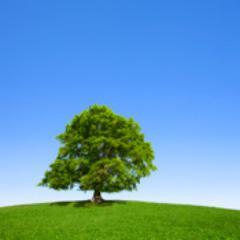 مُجرّد كلمات مُختارة لكنها تستحق أن تُكتب بماء من ذهب ~