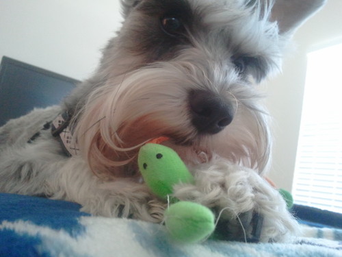 AmberRobles628's profile picture. 