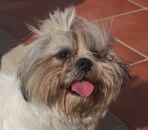 Darvilol's profile picture. 