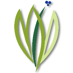 MarahColeDesign's profile picture. Marah Cole Designs specializes in providing the Twin Cities area with unique floral bouquets that are both simple and elegant.