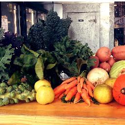The_Root_Cellar's profile picture. The Root Cellar sells products from farmers and artisans within 150 miles, including produce, fruit, eggs, cheese, milk, grain, meat, honey. syrup, and more!