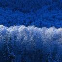 Leon Womack - @SnowxKing - Twitter