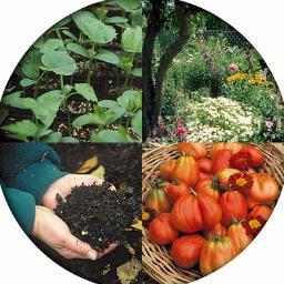 #Organic #Vegetable #Gardening Very easy to do so that your children can join in the fun
( gardenorganicuk )