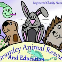 We are a registered animal rescue in Leeds, west yorkshire. UK
We are dedicated to rescuing and rehoming unwanted and ill treated small animals and reptiles.