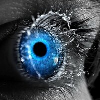 Syl20C (@c_syl20) 's Twitter Profile