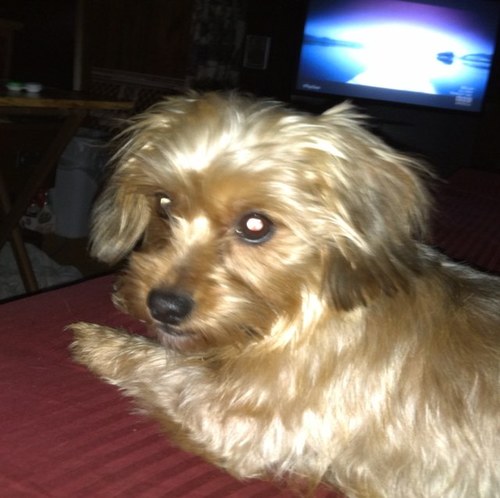 pcpro745's profile picture. 